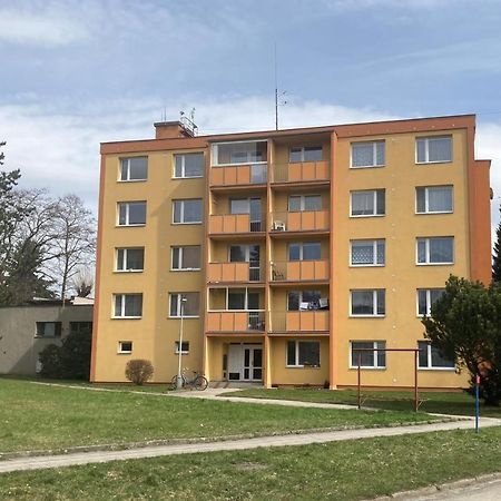 Apartman Ve Velkych Losinach Velké Losiny Extérieur photo