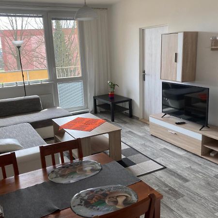 Apartman Ve Velkych Losinach Velké Losiny Extérieur photo